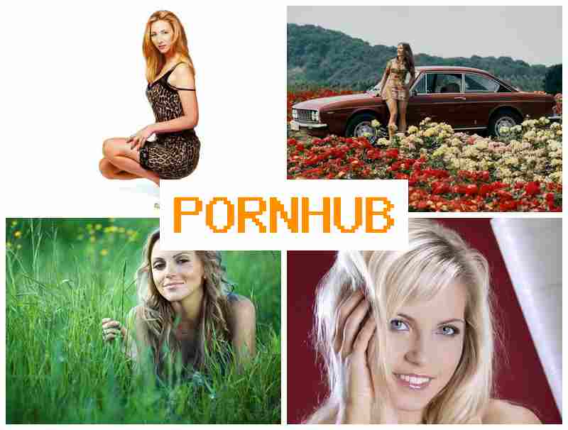 PORN H6B 💟 Webcam Chat XXX