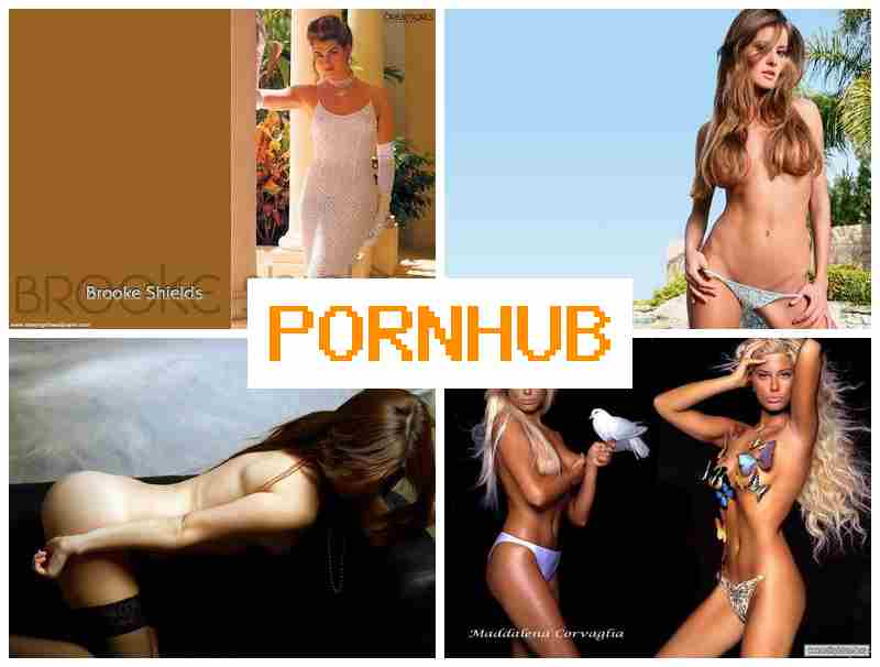 0ORNHUB 🌟 Video Webcam Teen 18+ Telegram