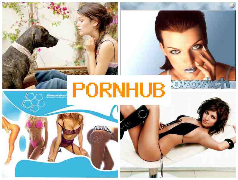 OORN HUB 💏 Webcam Hairy Porno